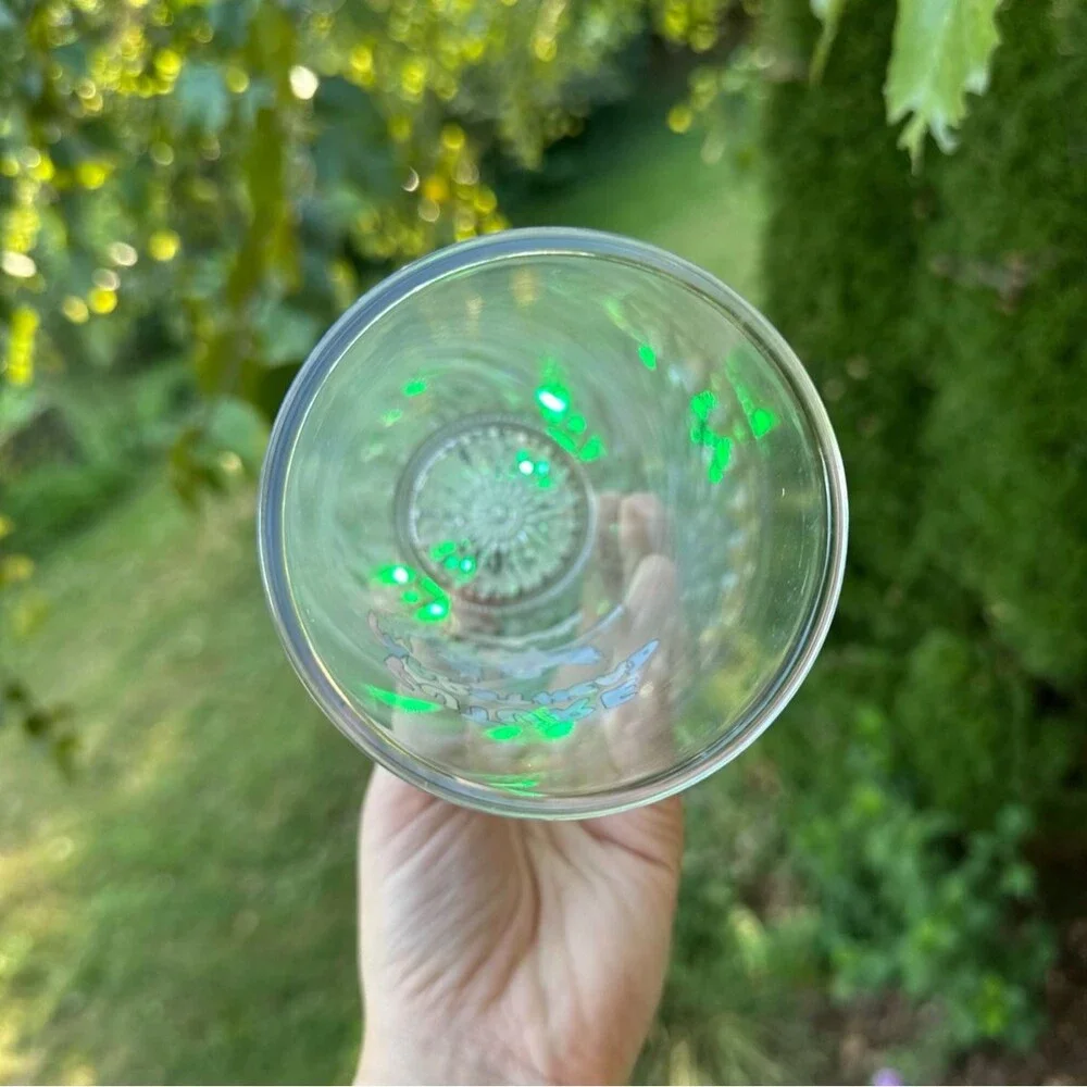 Future Margaritaville Parrot Head Light Up Drinking Glasses Souvenir
